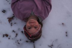 Snow-Days